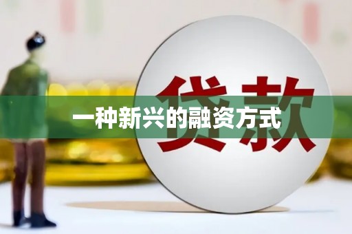 禅城一种新兴的融资方式