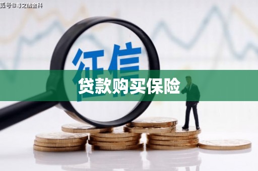 虾峙贷款购买保险